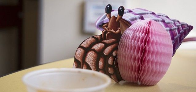 Decorations spotted the Union, including this crab sitting by an empty sample cup. Photo by Janelle Clausen.