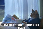 i-should-start-studying-for-finals-meme